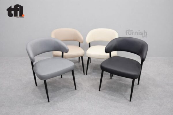 Modern Dining Chair with MS Frame