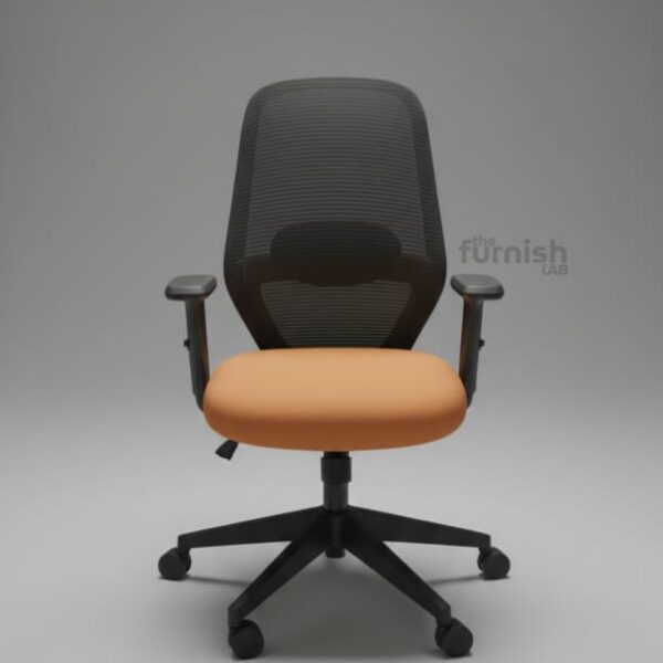 Ergonomic Mesh back Office Chair with Lumbar Support Ergonomic Mesh back Office Chair with Lumbar Support